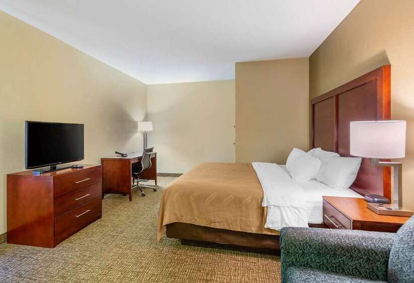 酒店 Quality Inn & Suites Olde Town