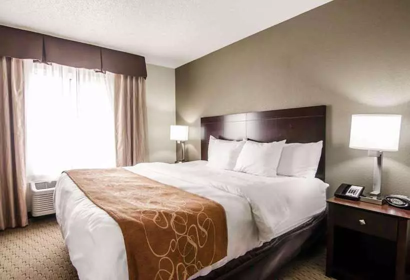 호텔 Quality Suites St. Joseph