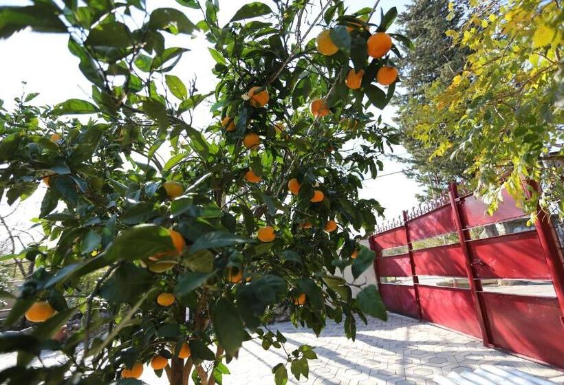 پانسیون Guesthouse Tea