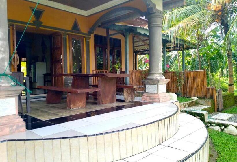 پانسیون Sumatra Cheeky Monkeys