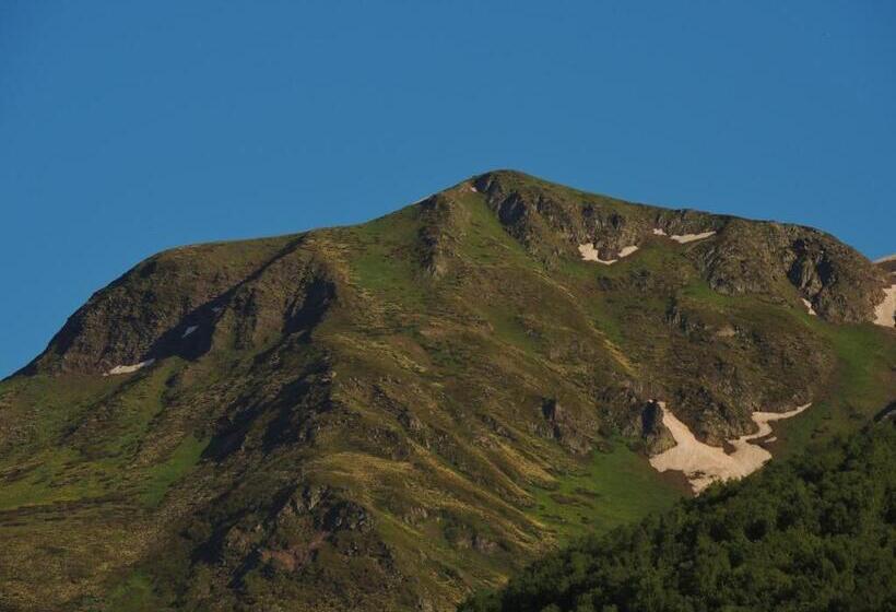 پانسیون Mtashi   მთაში