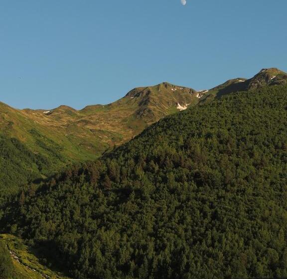 پانسیون Mtashi   მთაში