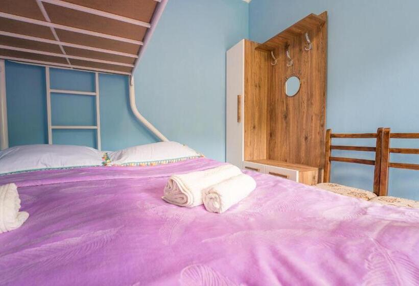 پانسیون Mtashi   მთაში