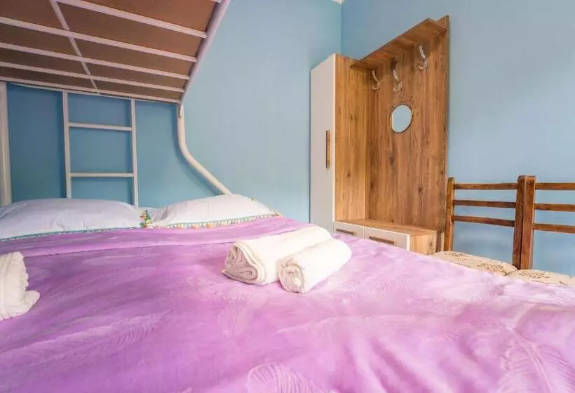 پانسیون Mtashi   მთაში