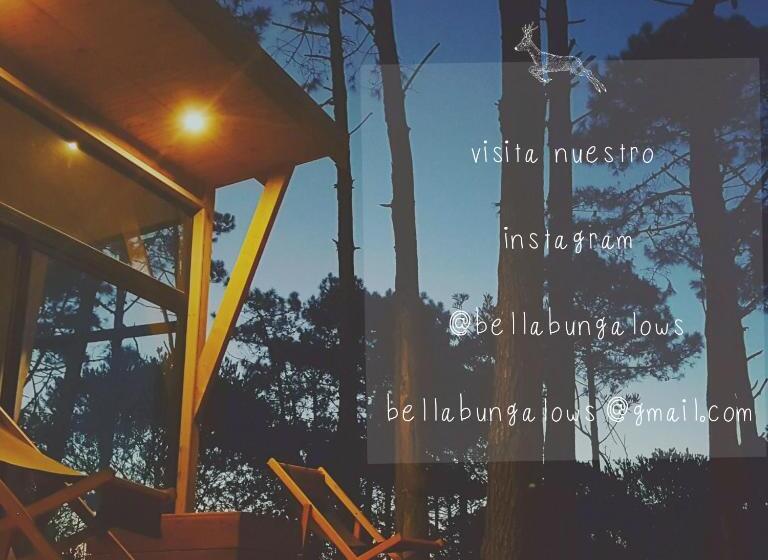 Общежитие Bella Bungalows