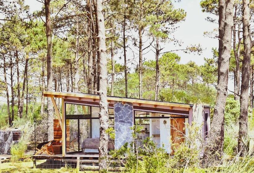 Общежитие Bella Bungalows