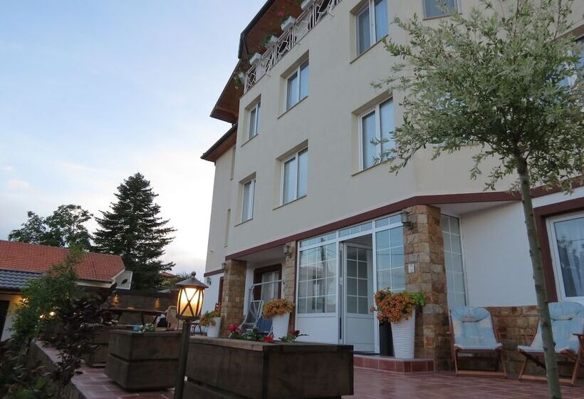 بنسيون Aurora Guest House