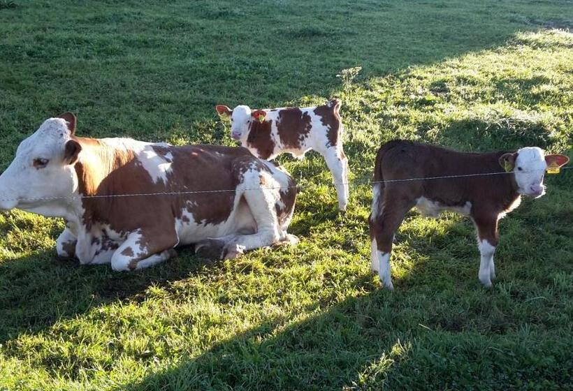 Hotell Biohof Gölly