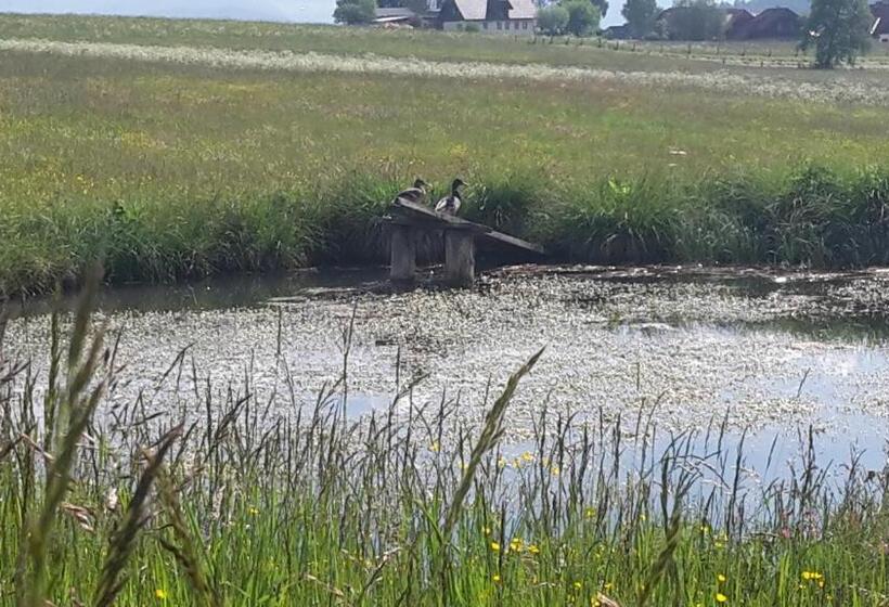 Hotell Biohof Gölly