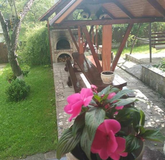 פנסיון Sadyba три серця чан баня яремче