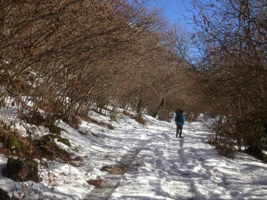 בית מלון כפרי Agriturismo Cashmere