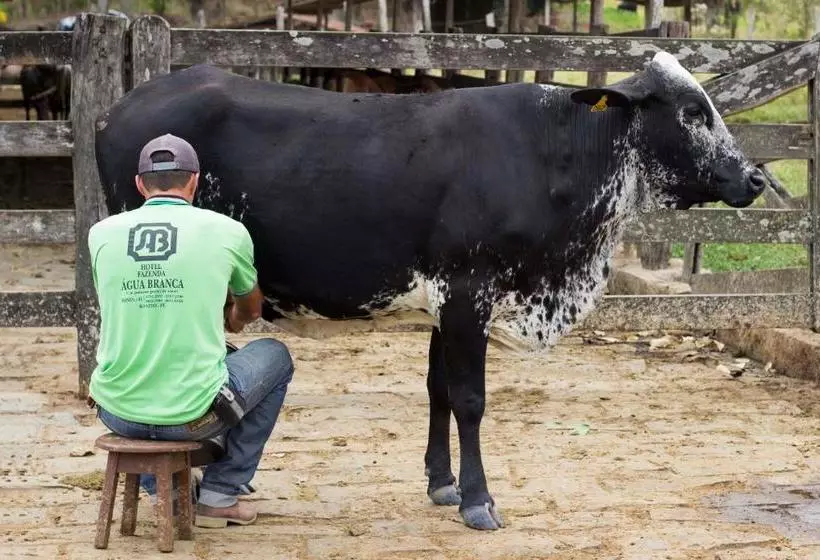 Hotelli Fazenda água Branca