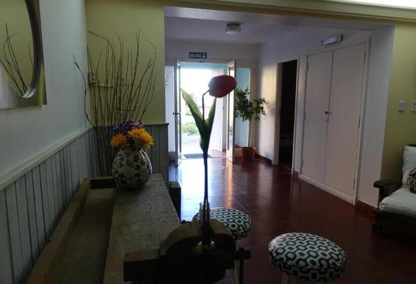 هاستل Hosteria Belvedere