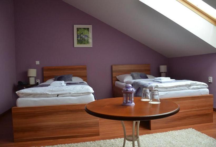 펜션 Penzion Bokros