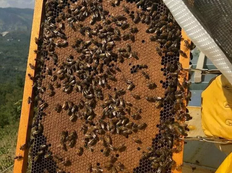 هتل Agriturismo La Vedetta Dei Nebrodi