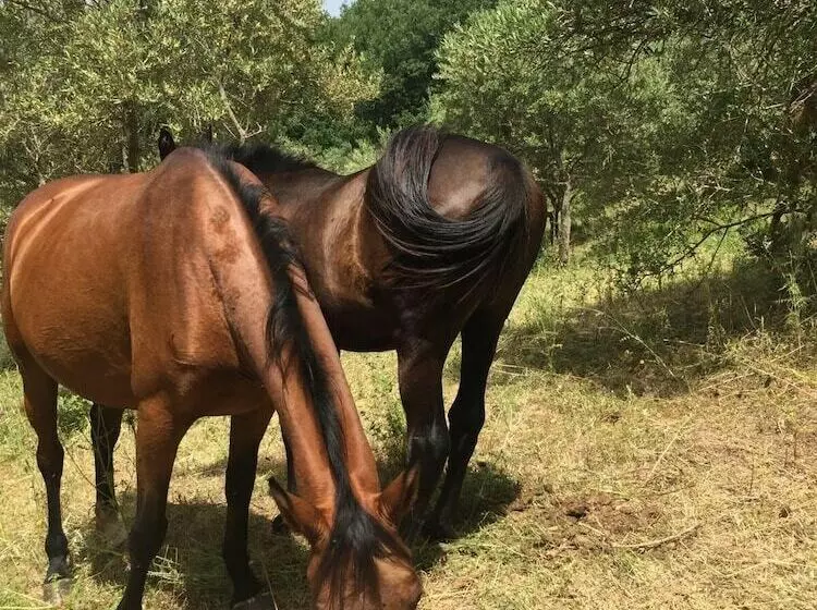هتل Agriturismo La Vedetta Dei Nebrodi