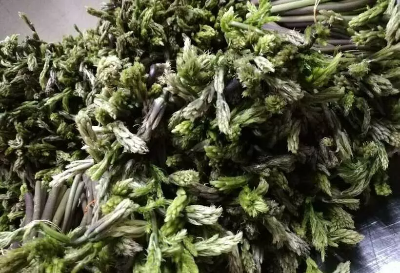 هتل Agriturismo La Vedetta Dei Nebrodi