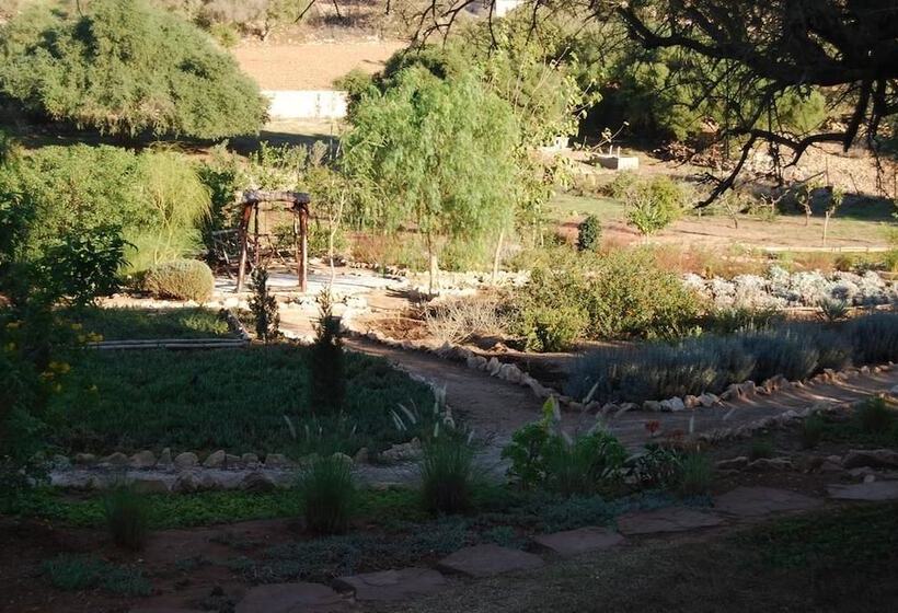 بنسيون Dar Essaada