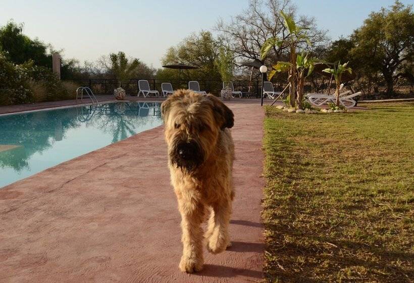 بنسيون Dar Essaada