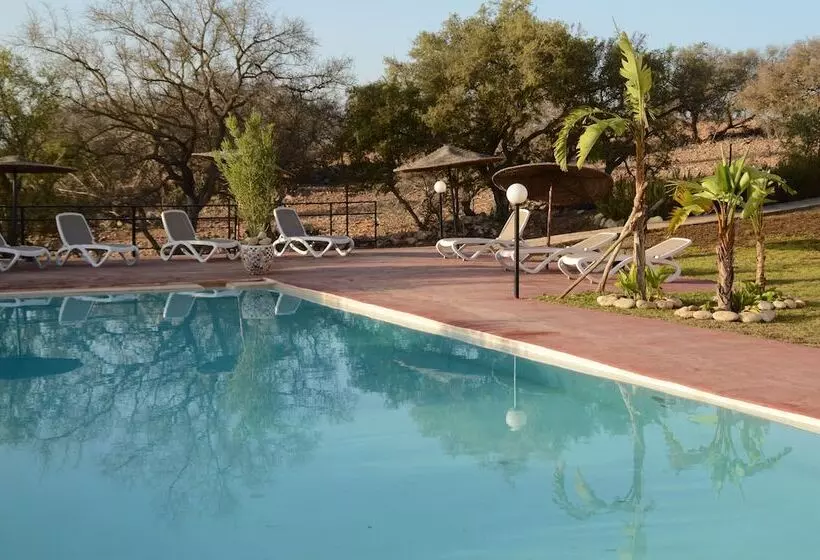 ペンション Dar Essaada