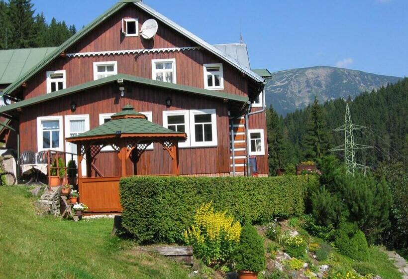 Пансион Horský Dům