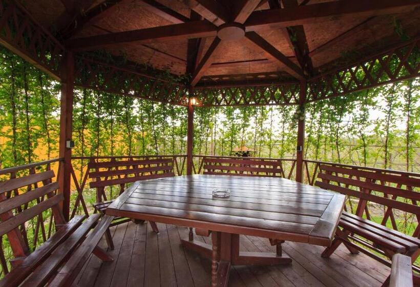 Pensiunea Andrei Rm Valcea