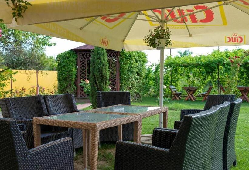 Pensiunea Andrei Rm Valcea