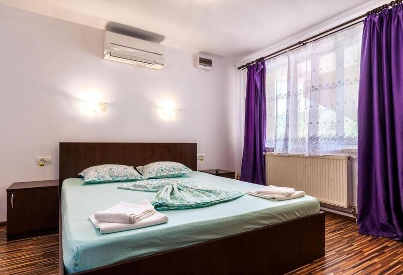 Pensiunea Andrei Rm Valcea