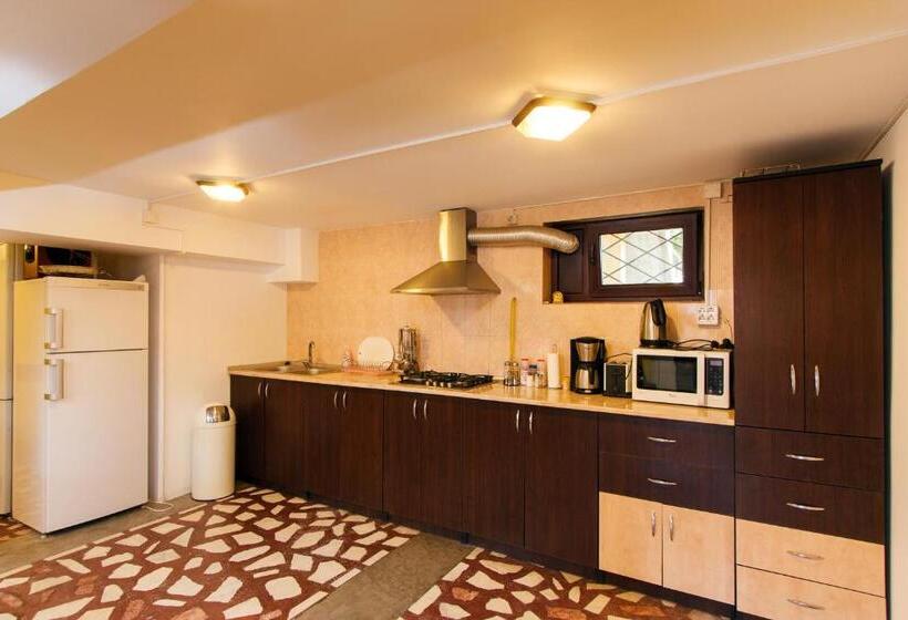 Pensiunea Andrei Rm Valcea