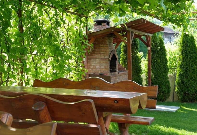 Pensiunea Andrei Rm Valcea