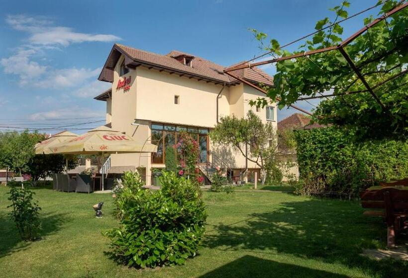 Pensiunea Andrei Rm Valcea