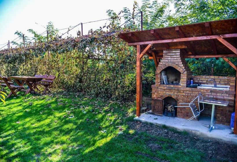 Pensiunea Andrei Rm Valcea