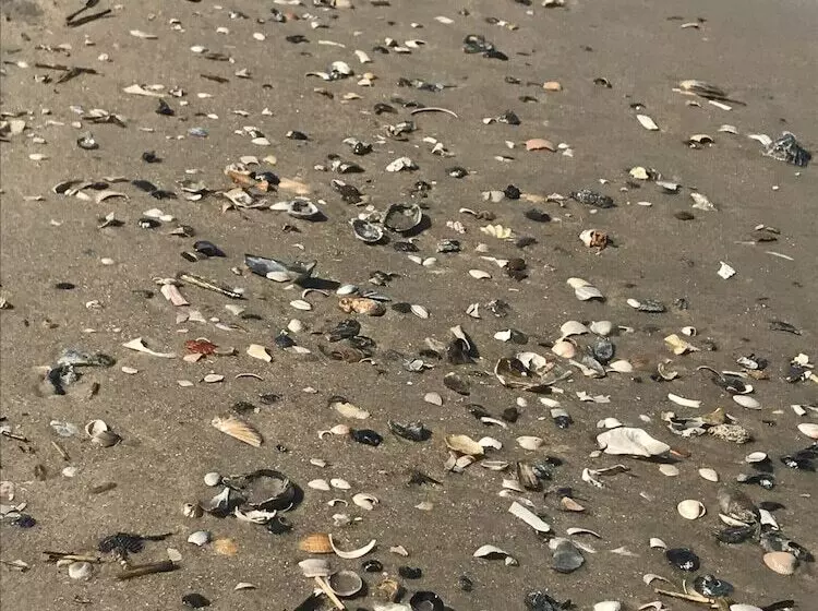 ホテル Chincoteague Inn