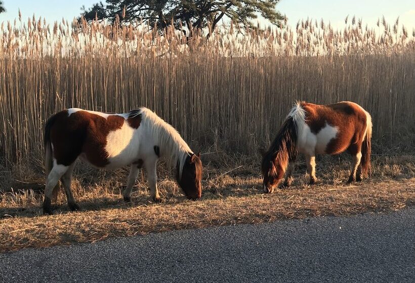 酒店 Chincoteague Inn