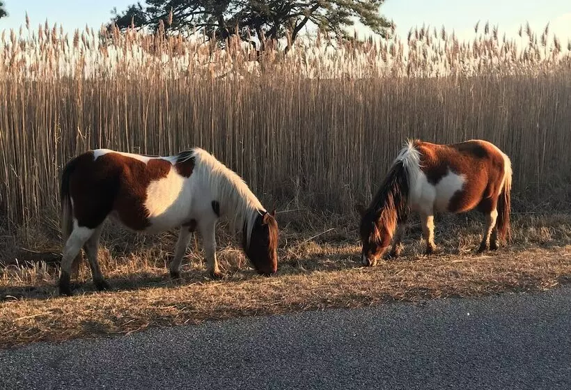 ホテル Chincoteague Inn