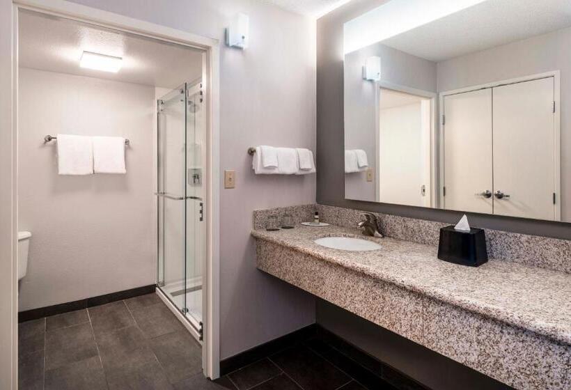 Hotell Courtyard Denver Southwest/lakewood