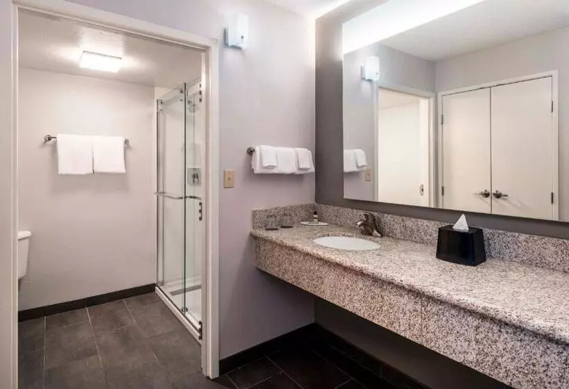 Отель Courtyard Denver Southwest/lakewood