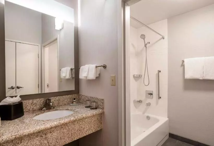 Отель Courtyard Denver Southwest/lakewood