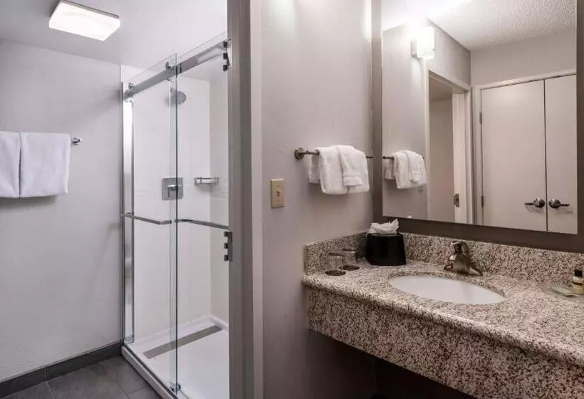 Отель Courtyard Denver Southwest/lakewood