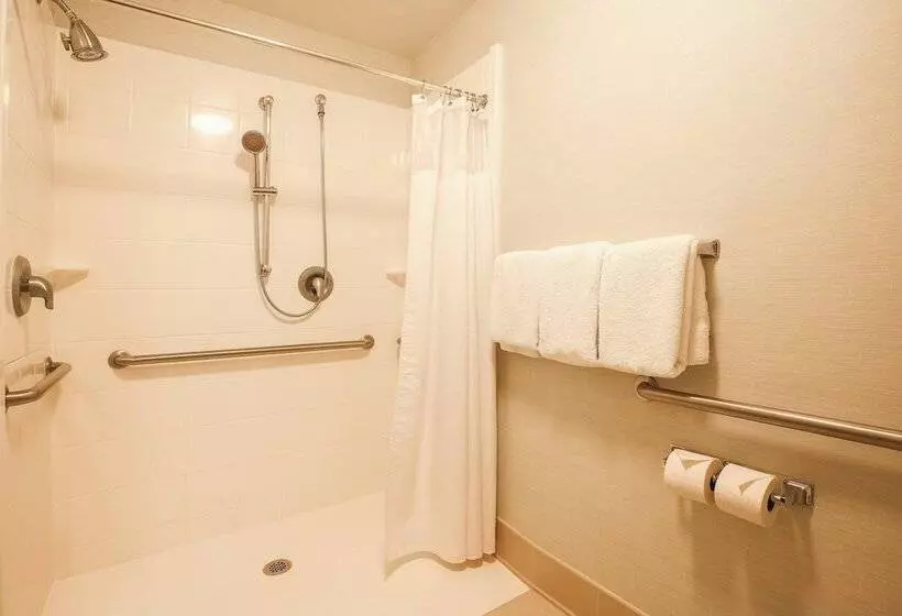 ホテル Courtyard By Marriott Flint Grand Blanc