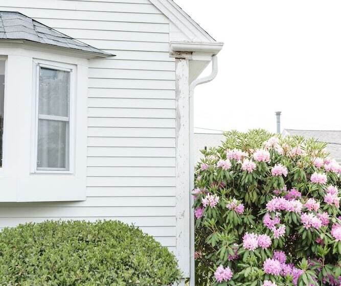 فندق Greyfinch Chatham Inn