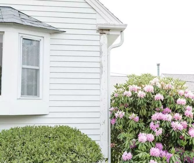 酒店 Greyfinch Chatham Inn