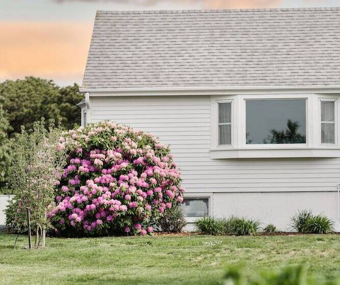 فندق Greyfinch Chatham Inn