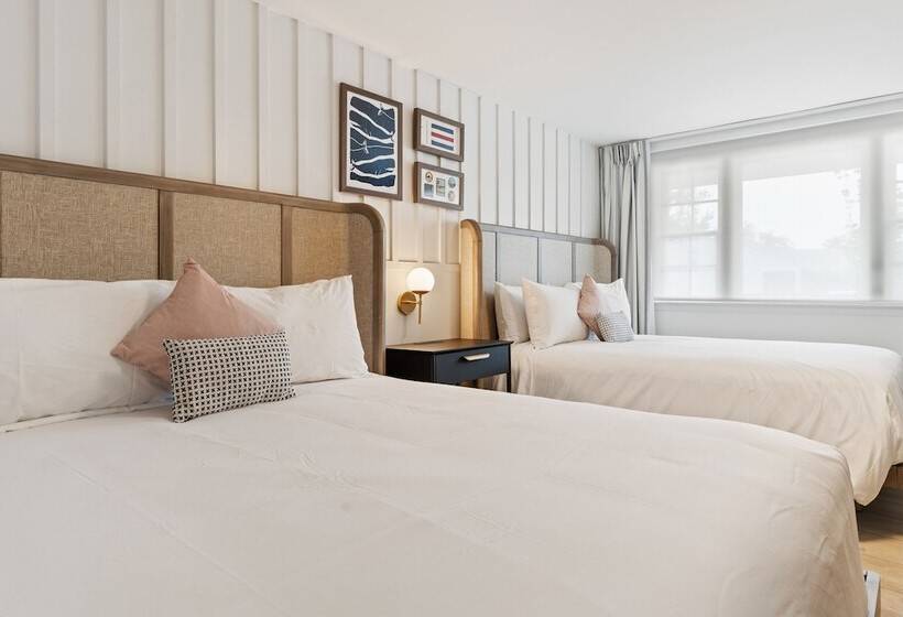 فندق Greyfinch Chatham Inn