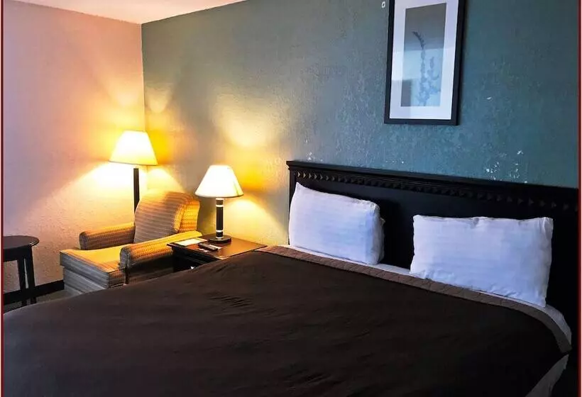 בית מלון כפרי Stay Inn Bartow