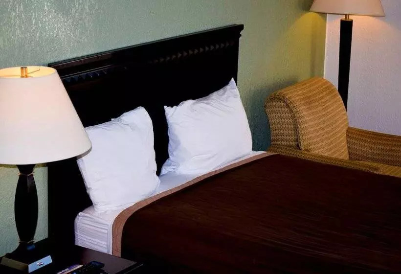 בית מלון כפרי Stay Inn Bartow