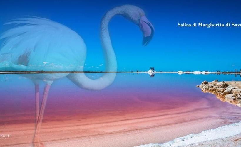 تختخواب و صبحانه La Perla Delle Saline