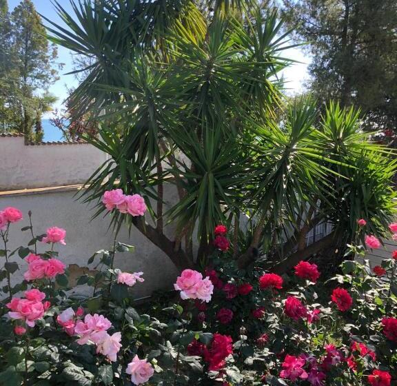 住宿加早餐  Villa Tropical