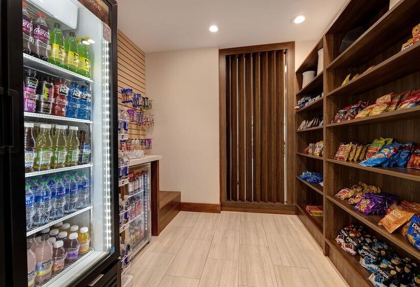 Hotel Holiday Inn Express & Suites   Ann Arbor   University South, An Ihg