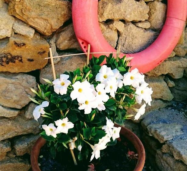 Пансион Hospedería Ancladero